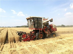 升级用户服务体验，雷沃阿波斯全面驶入“三夏”服务提升快车道