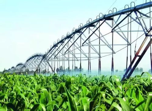 农机创新与专业服务 双轮驱动设施农业现代化发展