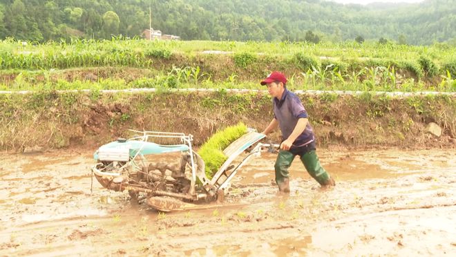平昌推广农机服务，按下水稻栽插“加速键”